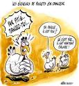 poulets